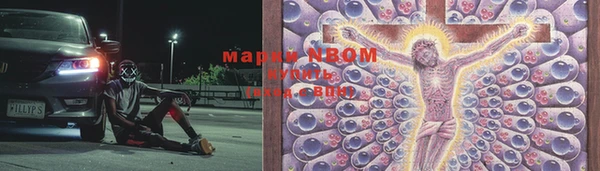 ГАЛЛЮЦИНОГЕННЫЕ ГРИБЫ Липки