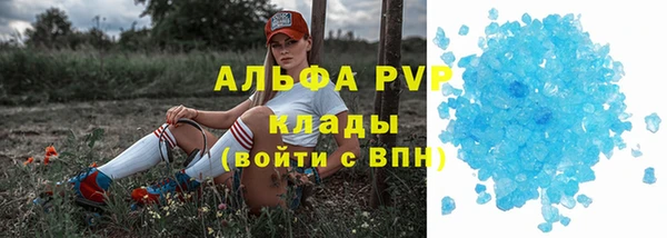 ГАЛЛЮЦИНОГЕННЫЕ ГРИБЫ Липки